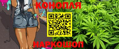 гидропоника Краснознаменск