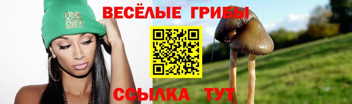 Галлюциногенные грибы MAGIC MUSHROOMS Ирбит